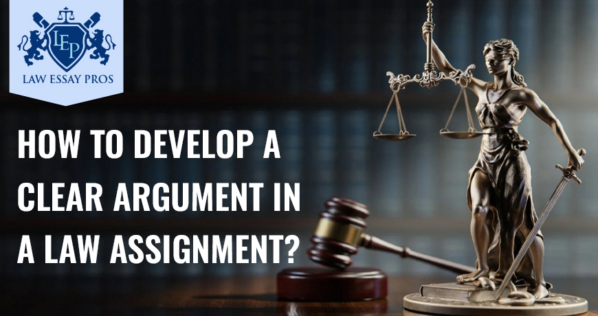 How To Develop A Clear Argument In A Law Assignment?